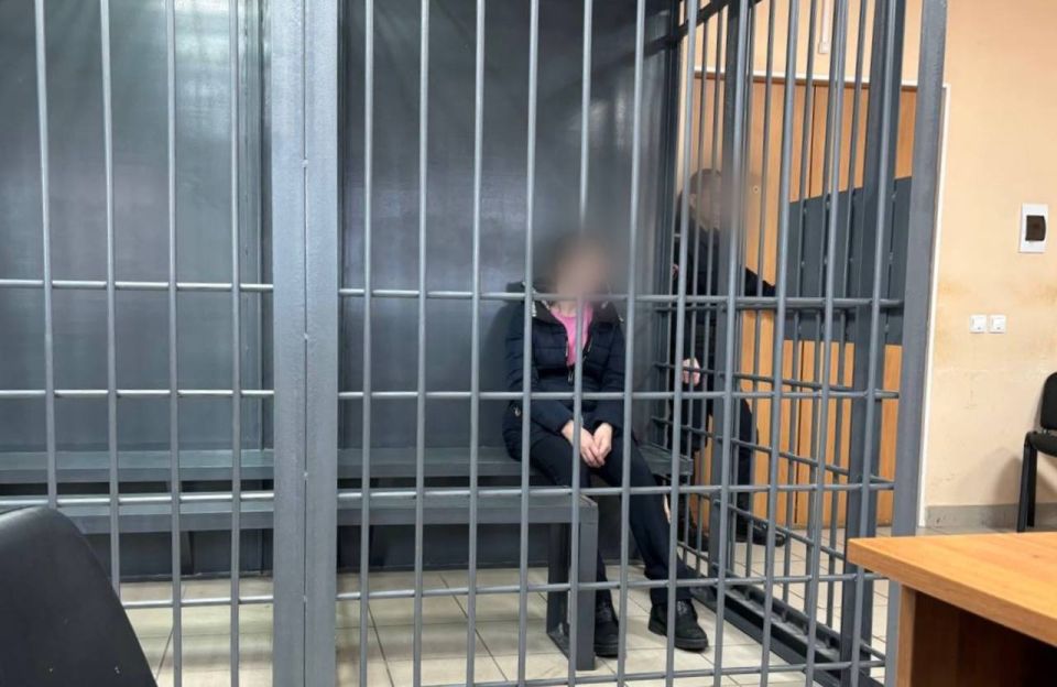 Жительницу Иркутска, подозреваемую в убийстве собственных детей, поместили под стражу на 2 месяца
