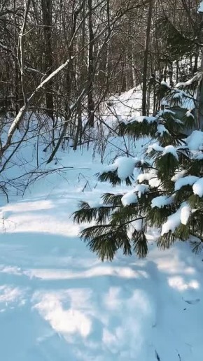 ������ ����, ��������� �������!