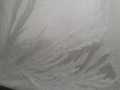 Тайные письма зимы.Кто рисует на иркутских окнах?