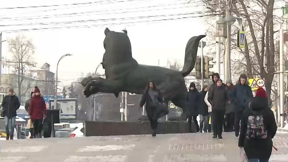 ������, �������, ��������, ������