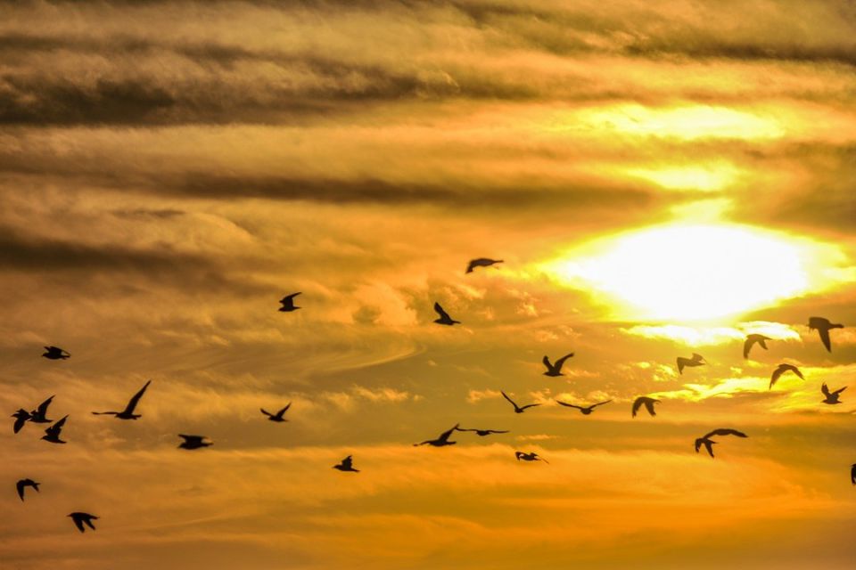 ����������� �� ���� ����� � ���� � ��������� ����� �� ��������� ��� ��������� ����