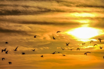 ����������� �� ���� ����� � ���� � ��������� ����� �� ��������� ��� ��������� ����