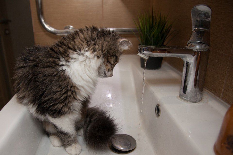 ������������, ��� ��������� ����� �� �������� ���� � �������� 2026