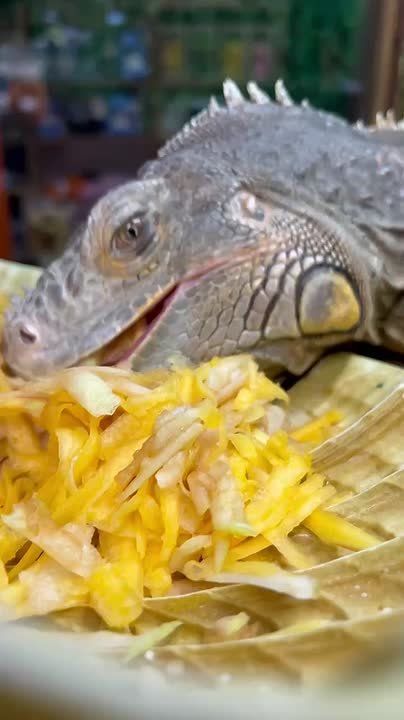 ������� ���� ������ ���������� ������