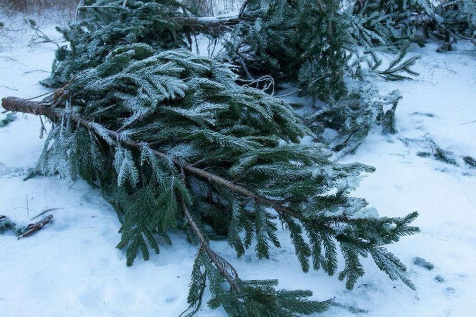 ������ ��������� ������� � ������� ��������� �������� ����� ������ ������� ������ � ������ ������