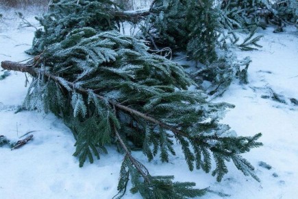 ������ ��������� ������� � ������� ��������� �������� ����� ������ ������� ������ � ������ ������