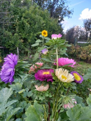 ����������� �������� �� ����� � ������� �����