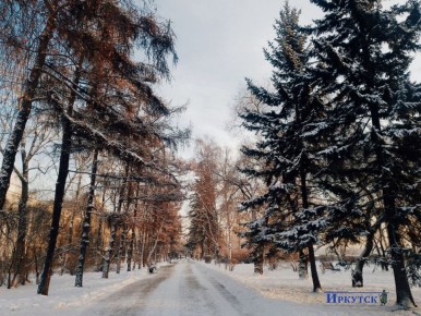 ������������ ������ �������, ���� �� ����������� ��� ����������, ������� ��������, ����� �����