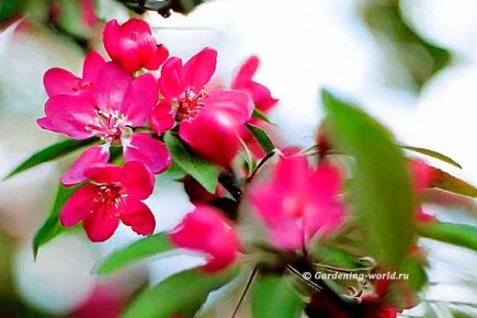 �����: 11 ����������� ��������� �����, ������� ����� ����� ������� ��������