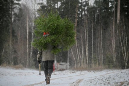 ����� ��������, ���� ����� ���� ����� ������ ���� � �������� 2026 ����