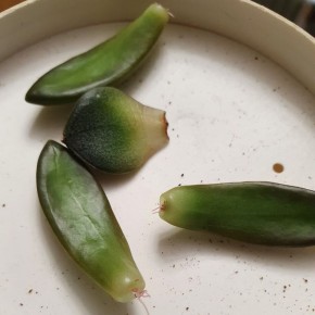 ���������� � �������� ������: ������ ����������� �� ��� ������