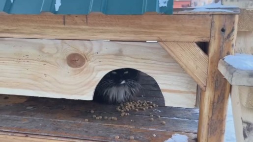 ������ ����������� ��������� ������ � ������� ����� ��� ��������� �����