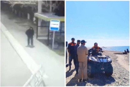 ������� ���� ����� ���� ������ �� ���: ������ ������� ������� ���������, ��� ������ ����������� ��������� � 2025 ����