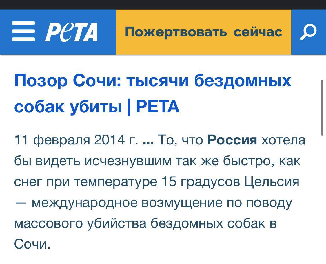 Бродячие собаки – это биодроны! Бродячие собаки – это биодроны!