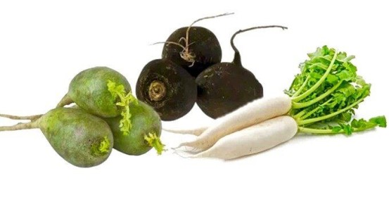Редька: полезный суперфуд на вашем столе