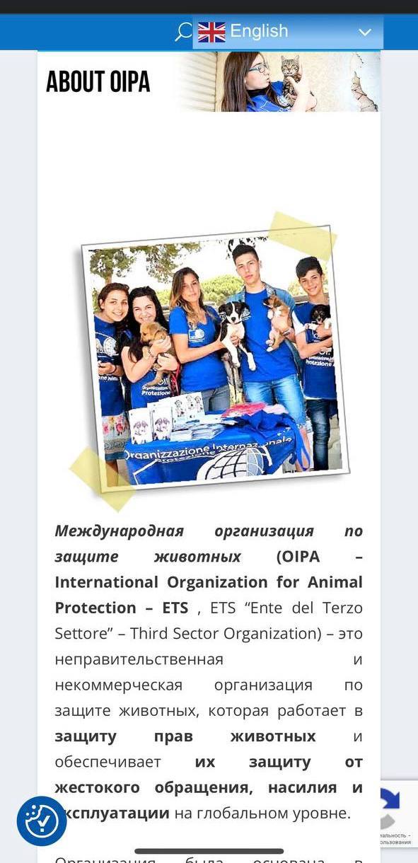 Бродячие собаки – это биодроны!