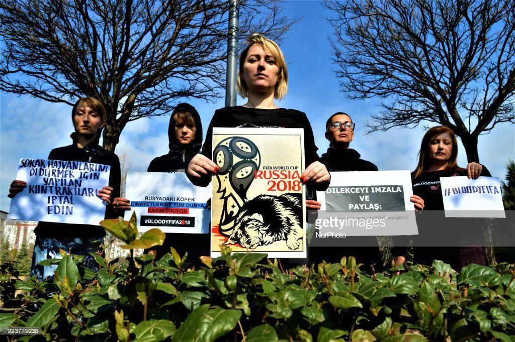 Бродячие собаки – это биодроны! Бродячие собаки – это биодроны!