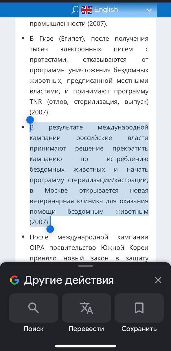 Бродячие собаки – это биодроны! Бродячие собаки – это биодроны!