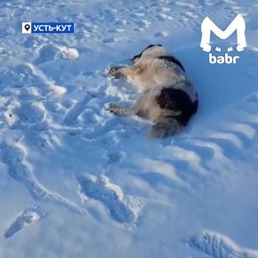 �������� ����� ������� ������������ � ����-����