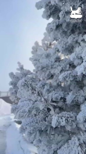 ��� �������� ������ ������� ���������� �������� ����� � �������� ����, ������� �� �����