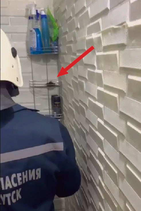 Благодарное мяуканье, лай и чириканье: сотрудникам «Безопасного города» порой приходится спасать не только людей, но и оказавшихся в беде зверей и птиц Благодарное мяуканье, лай и чириканье: сотрудникам «Безопасного города» порой приходится спасать не только людей, но и оказавшихся в беде зверей и птиц