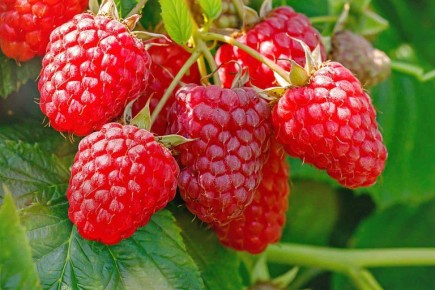 ���� �������� ���������� � ������� ������!