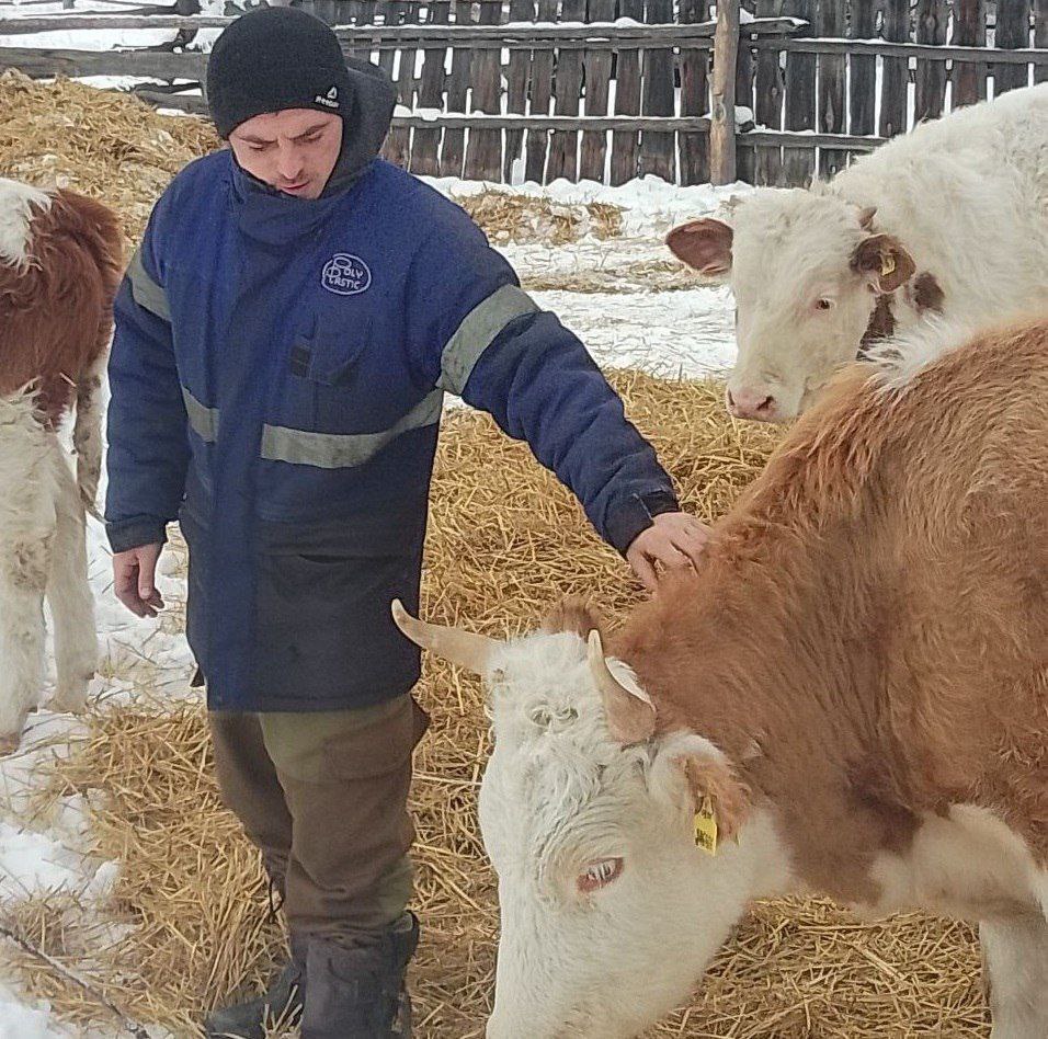 Новую профессию и работу в 2025 году обрели 260 участников СВО Иркутской области Новую профессию и работу в 2025 году обрели 260 участников СВО Иркутской области