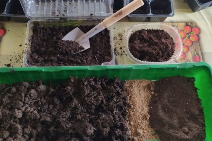 Три идеальных грунтовых смеси для успешного выращивания рассады перца