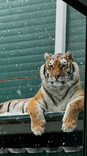 � ������ �����, ������� ��������, � � ����������� ������� �������