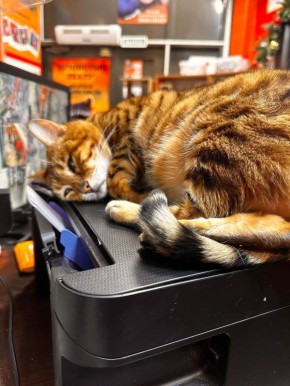 ��������� �������! �� ������ �� �������� ��� � ����������