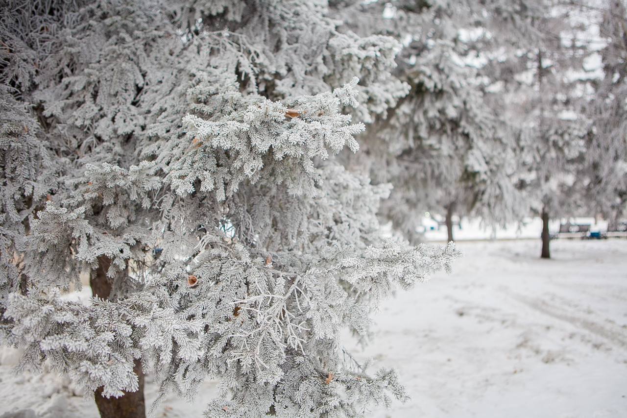 Доброе утро!. Продолжительные новогодние праздники позади, пора снова в рабочий график