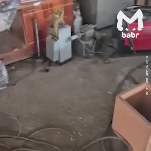 Майнинг-ферму на колесах накрыли в Бурятии