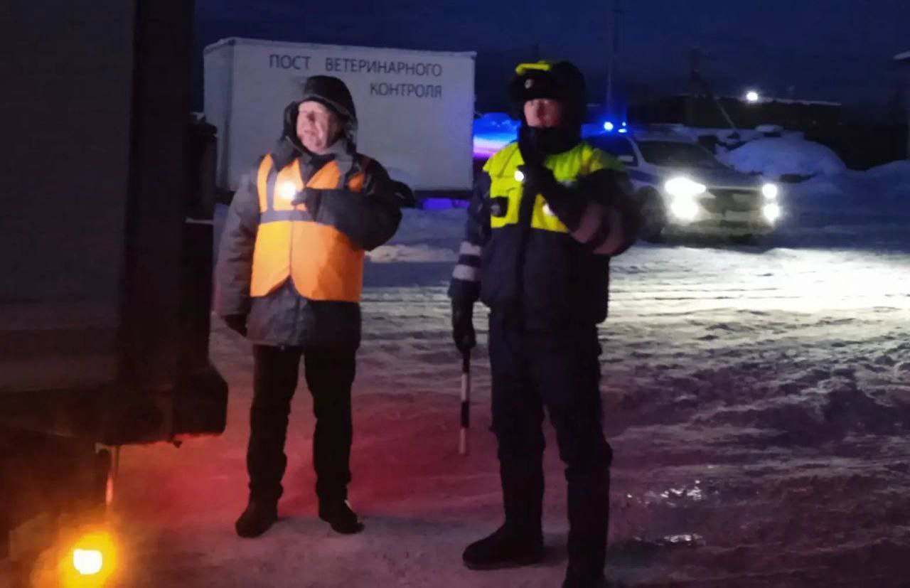 Более 940 автомобилей досмотрено на ветеринарном контрольно-пропускном посту в январские праздники