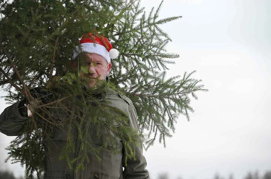 Куда деть ёлку после праздников? В Иркутске открыли новый пункт приёма!