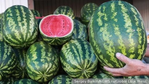 ��� ������� ������� �����: ������������ ���� � �������