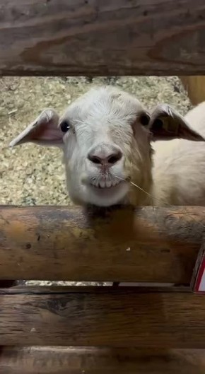 ��������� �������� � �����, � � ������� ��������� ������� ��� ��������!