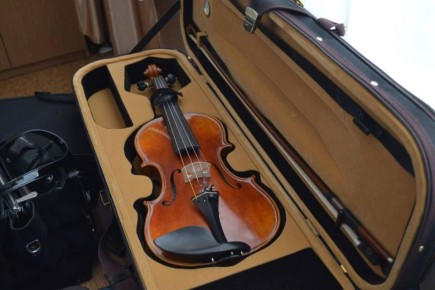 ������ �������: ���������� ��������������� ���� ���������� ��������������� �����������