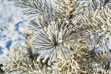 Замерзнем всей областью. 15 января в Приангарье выпадет небольшой снег