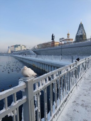 ������� ������ ��������� � ��������� ������� 16 � 17 ������