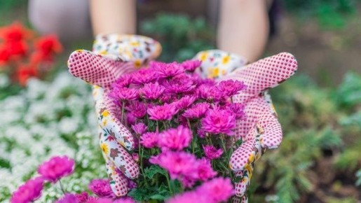 ������� ��������� ��������: ��� ���� �������� �����������