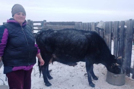 � ���������� � ������������ ������� � 2025 ���� ���� ��������� 1099 ���������� ����������