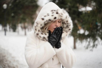 �������� ������ ��� ���������� � ������, ������� ����� ����� ������ ������� ��������