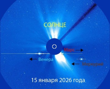 ������ ������ ���������� �������