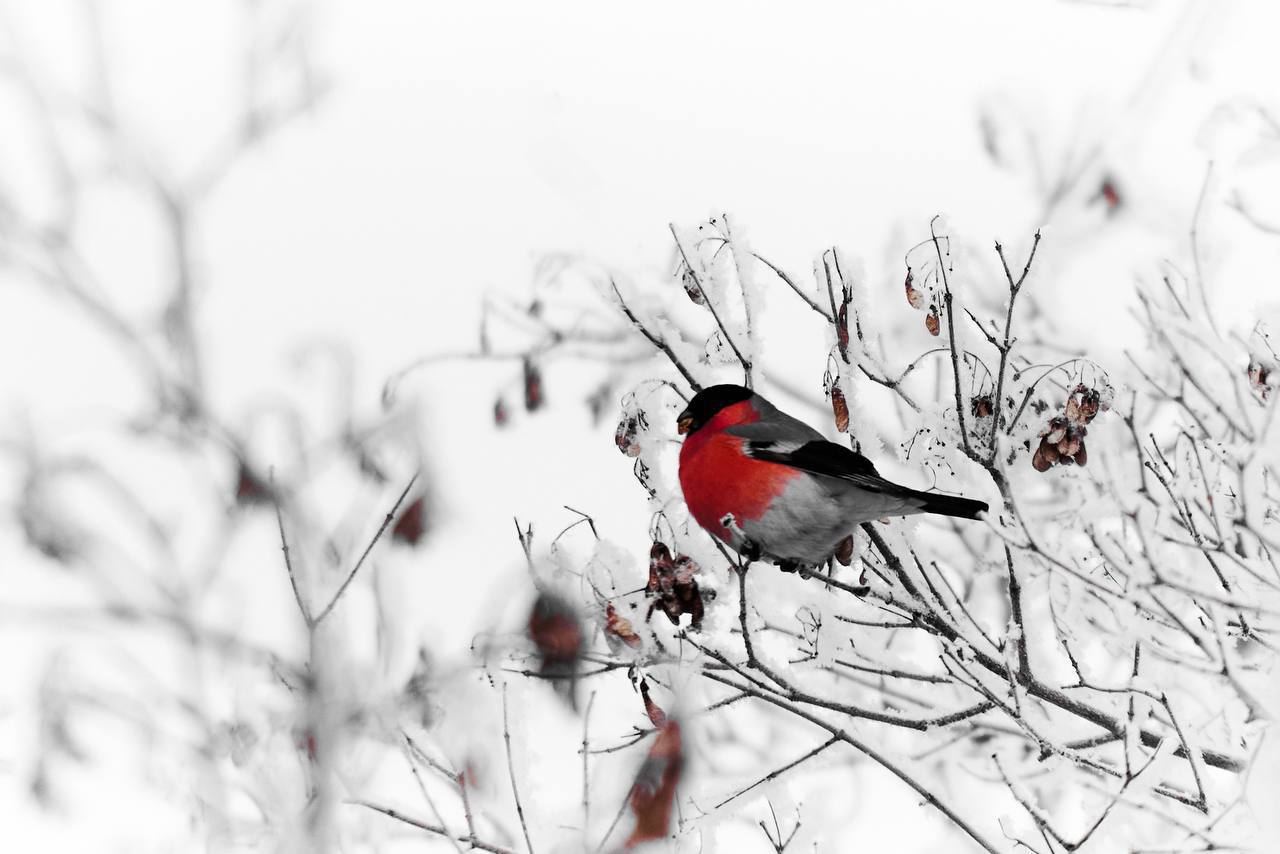 Доброе утро!. Сравнивать сегодняшний день с вчерашним, пожалуй, непросто