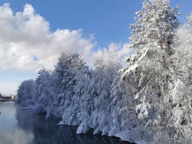 ������ ������� ������. ����: ����� ���������