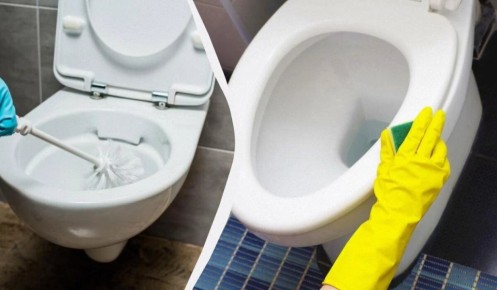 ����������� ������� ������������ ������: ��� ������ ������� ����� 10 �����