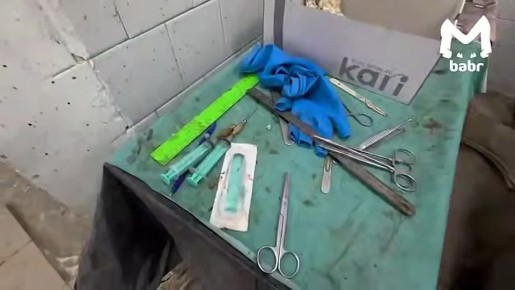 ����� ������ ����� ����������� �������� ���� � ������