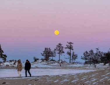 ������ ����, ����������!. ������� ���������� ���������� ������