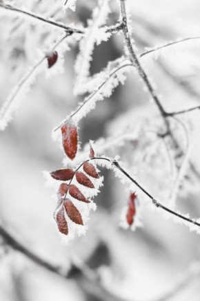 ������ ����!. ��������� ������ ���� ������ ������� ������ ���� � ��� ����