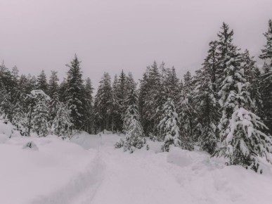 ��� �������� �� �������� 17�18 ������ � ��������?